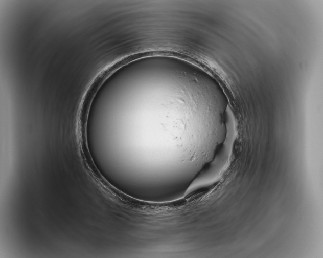 X0000095931072200801251045