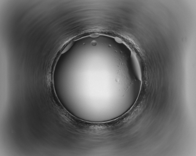 X0000095931073200801251045