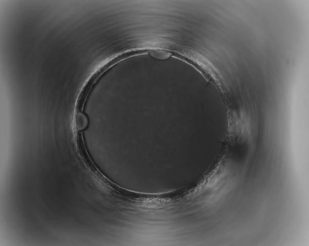 X0000095931077200801251045
