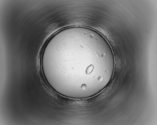 X0000095931078200801251045