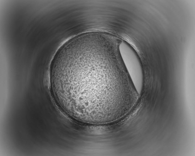 X0000095931079200801251045