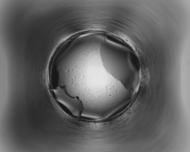 X0000095931080200801251045