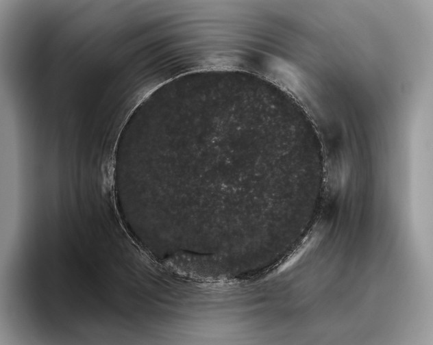 X0000095931081200801251045