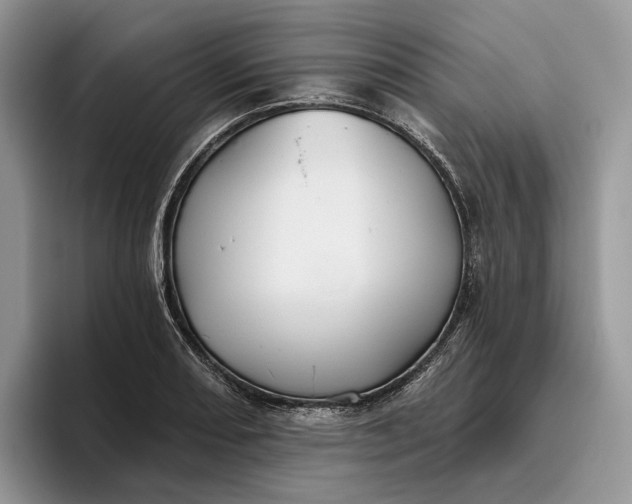X0000095931082200801251045