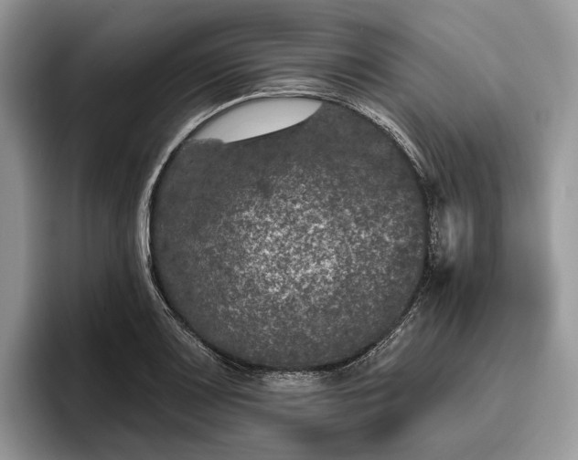 X0000095931083200801251045