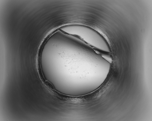 X0000095931085200801251045