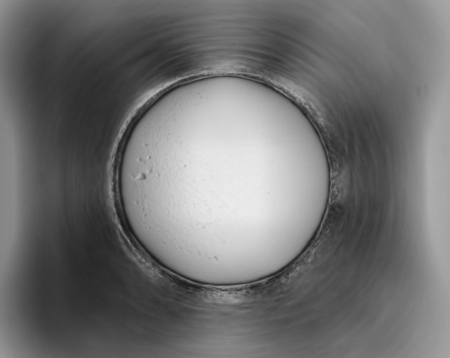 X0000095931086200801251045