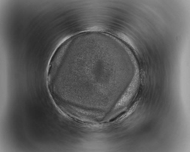 X0000095931087200801251045
