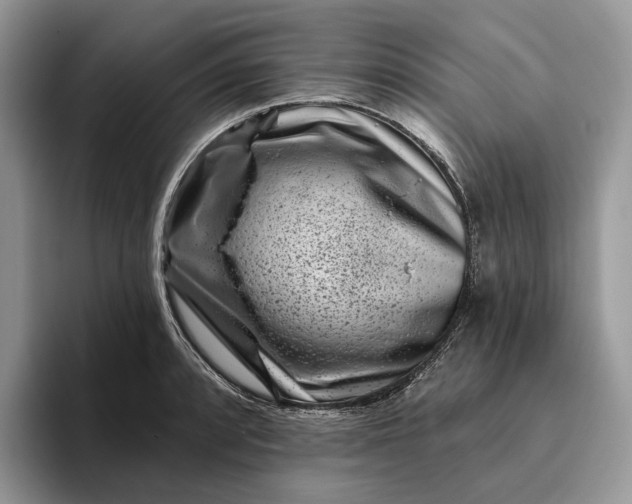 X0000095931088200801251045