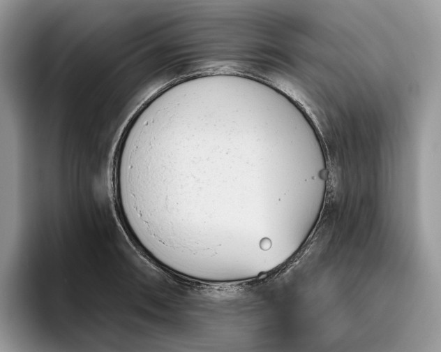 X0000095931090200801251045