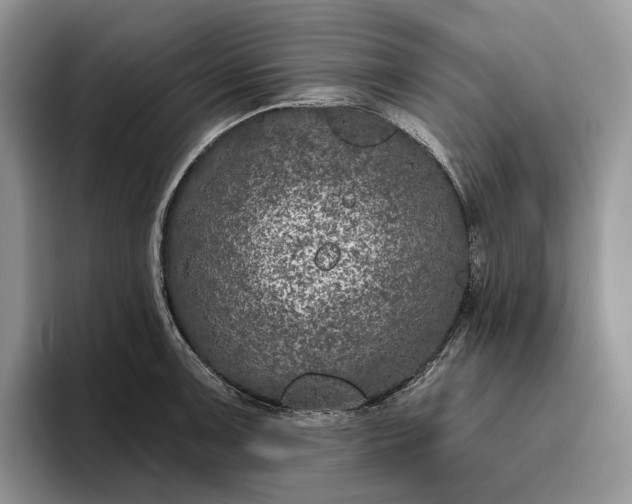 X0000095931091200801251045