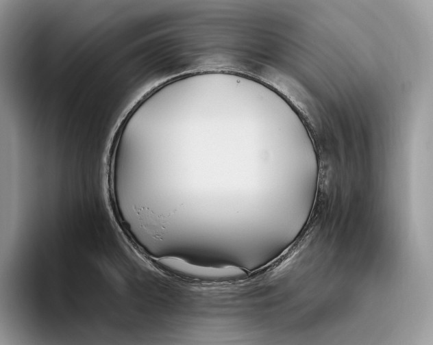 X0000095931094200801251045