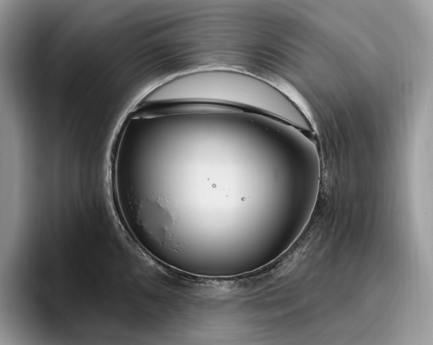 X0000095931096200801251045