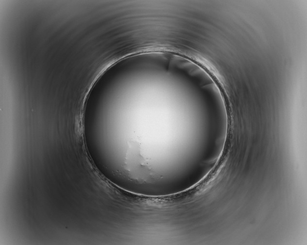 X0000095931097200801251045