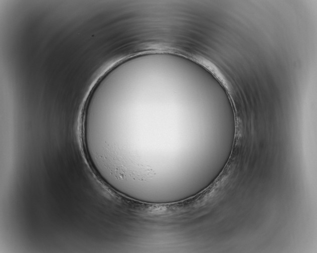 X0000095931098200801251045