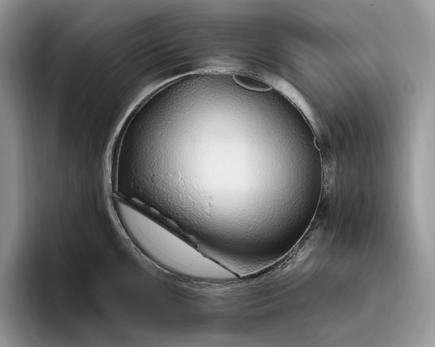 X0000095931099200801251045
