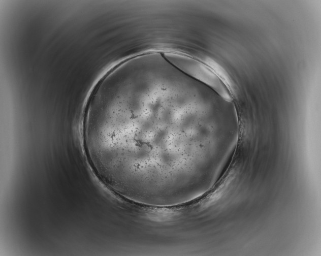 X0000095931100200801251045