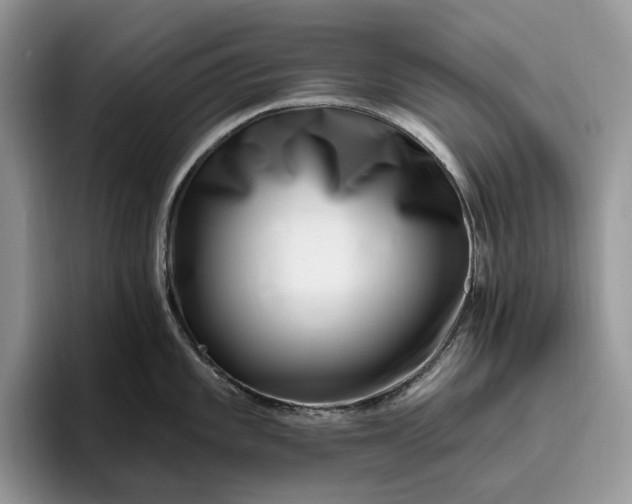 X0000095931101200801251045