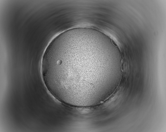 X0000095931103200801251045