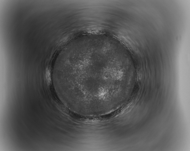 X0000095931106200801251044