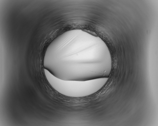 X0000095931108200801251044