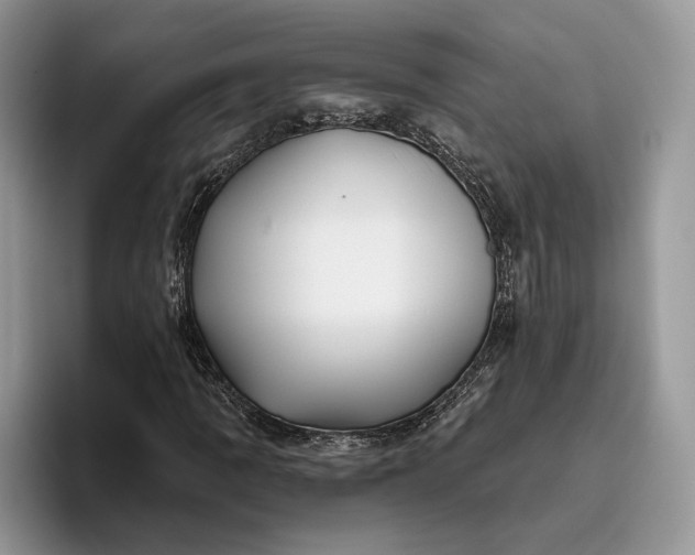 X0000095931109200801251044