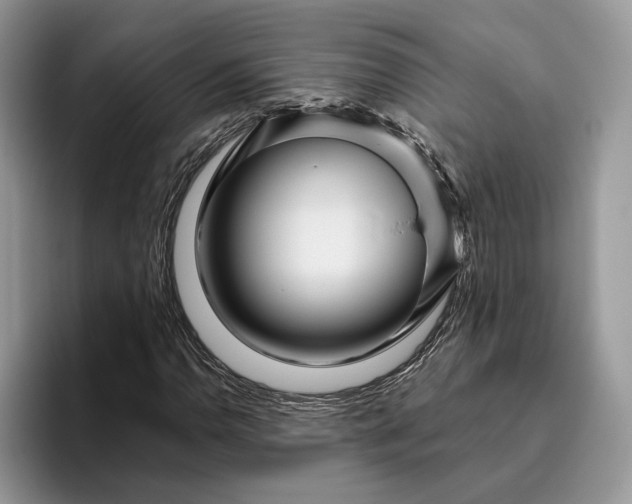 X0000095931110200801251044