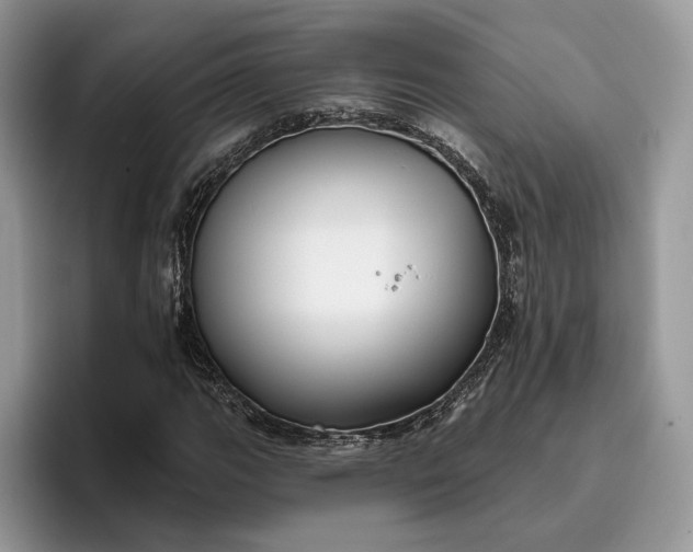 X0000095931111200801251044