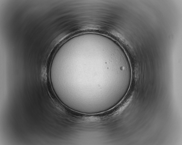 X0000095931113200801251044