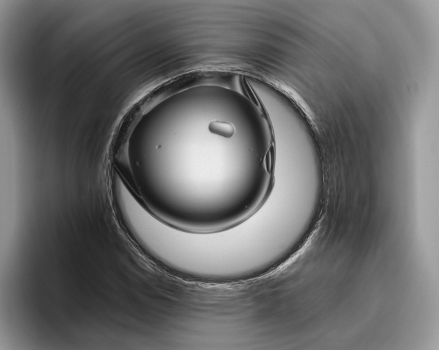 X0000095931114200801251044