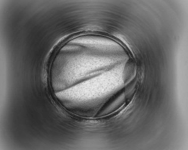 X0000095931115200801251044