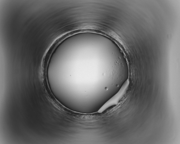 X0000095931116200801251044