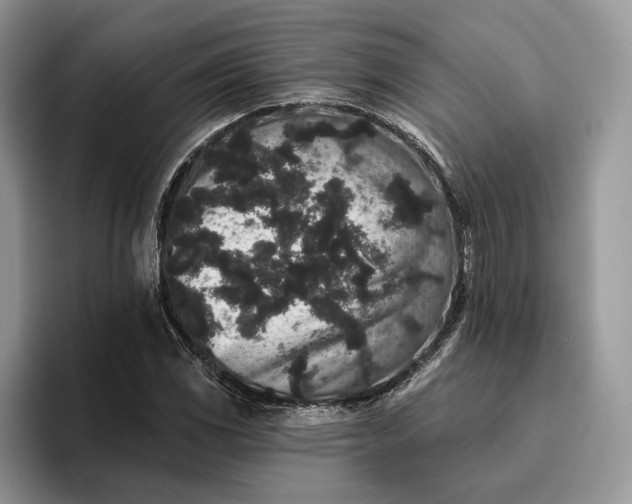X0000095931117200801251044