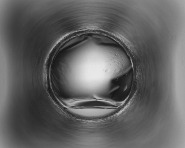 X0000095931118200801251044