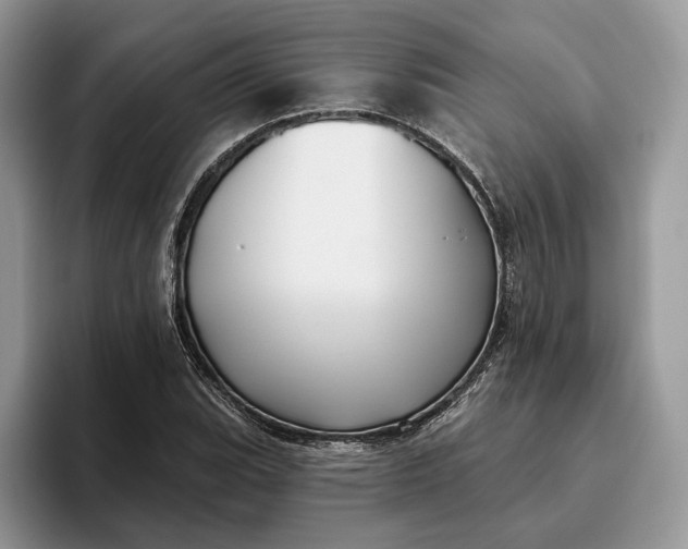 X0000095931119200801251044