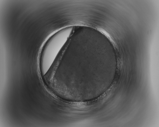 X0000095931120200801251044