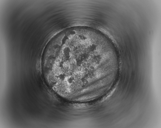 X0000095931121200801251044