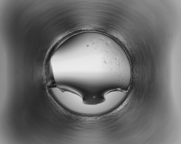 X0000095931122200801251044