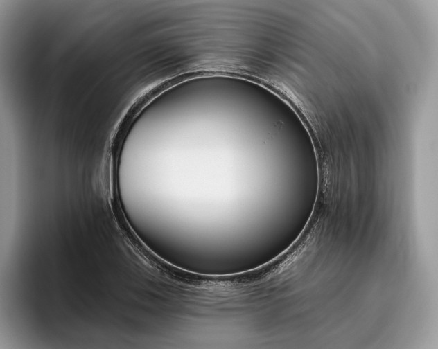 X0000095931123200801251044