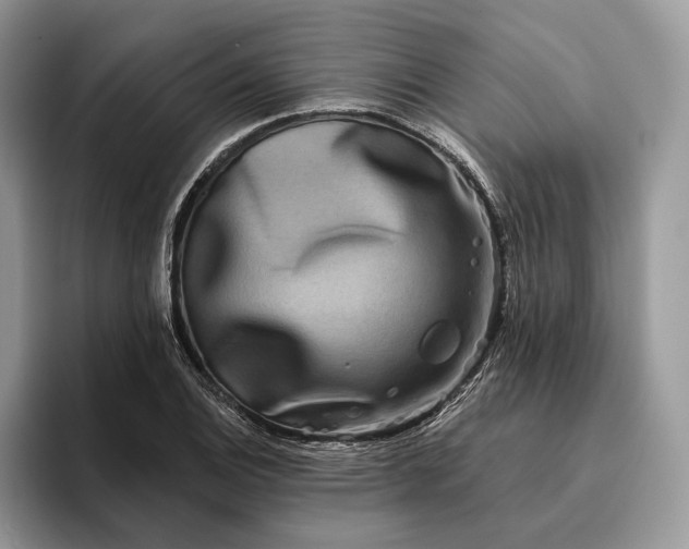 X0000095931124200801251044
