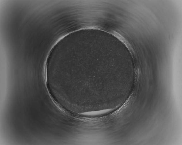X0000095931127200801251044