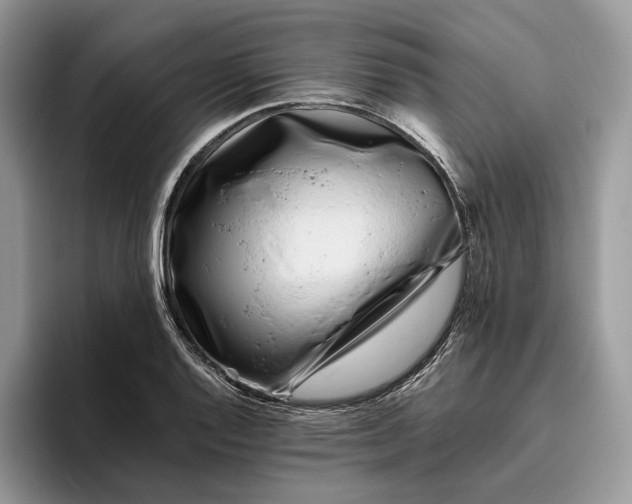 X0000095931128200801251044