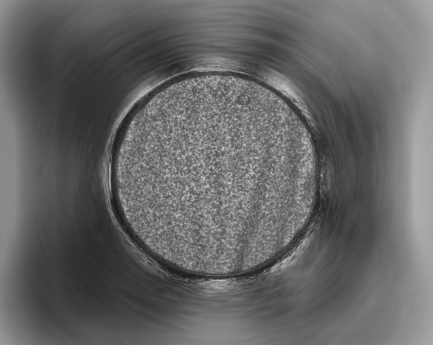 X0000095931130200801251044