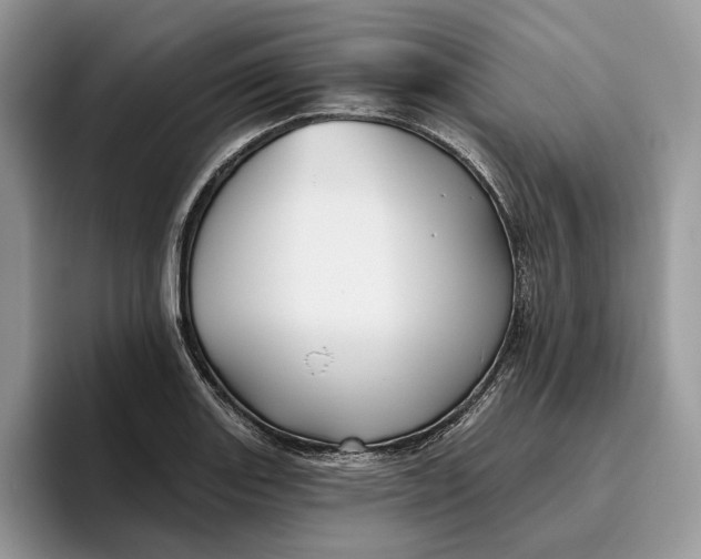 X0000095931131200801251044