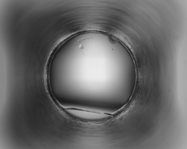 X0000095931133200801251044