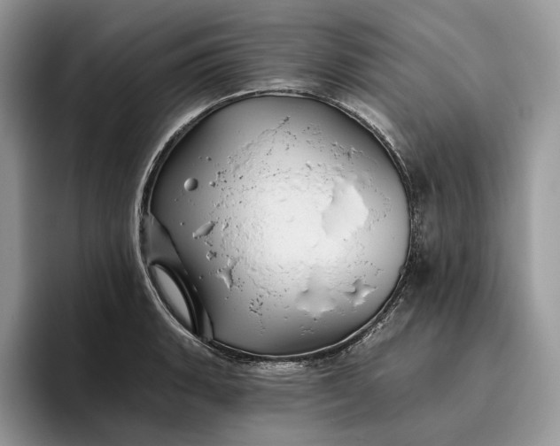 X0000095931135200801251044