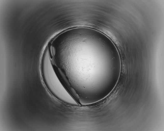 X0000095931136200801251044