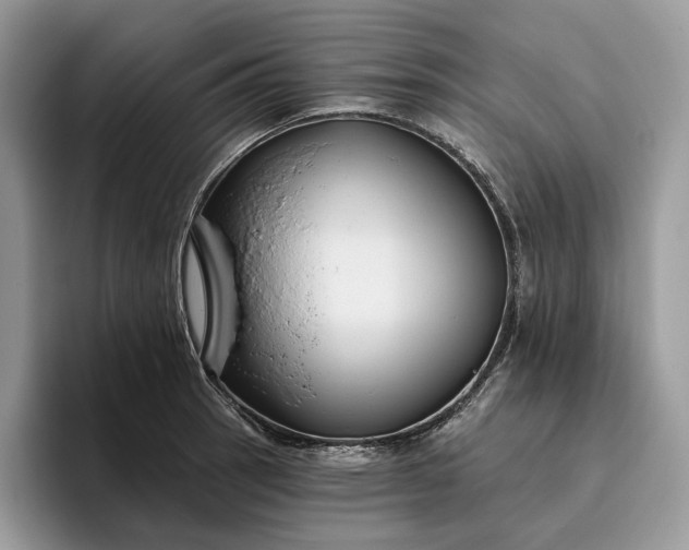 X0000095931137200801251044