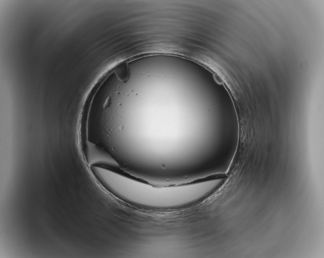 X0000095931139200801251044