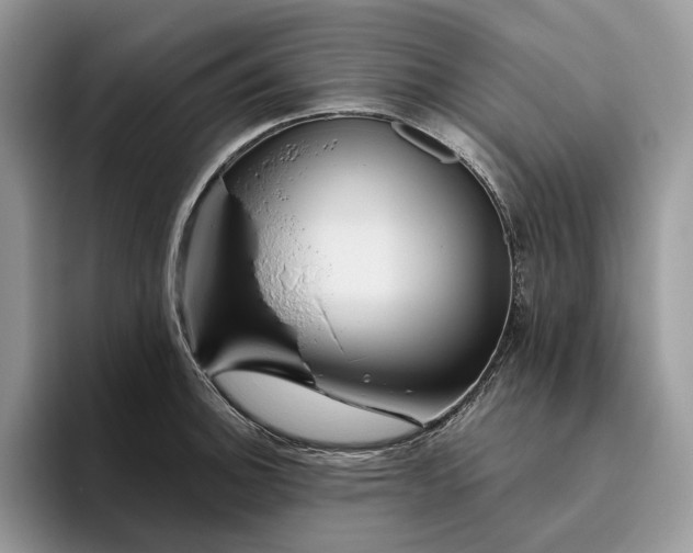 X0000095931140200801251044